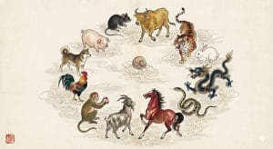 Feng Shui Tips for Each Chinese Zodiac Sign