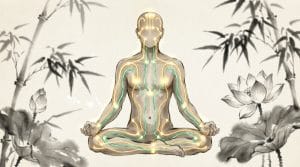 Qi in Motion: Guide to the Meridian System & Energy Flow