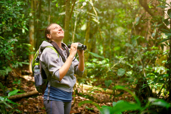 Hiker watching through binoculars wild birds in the jungle. Bird watching tours