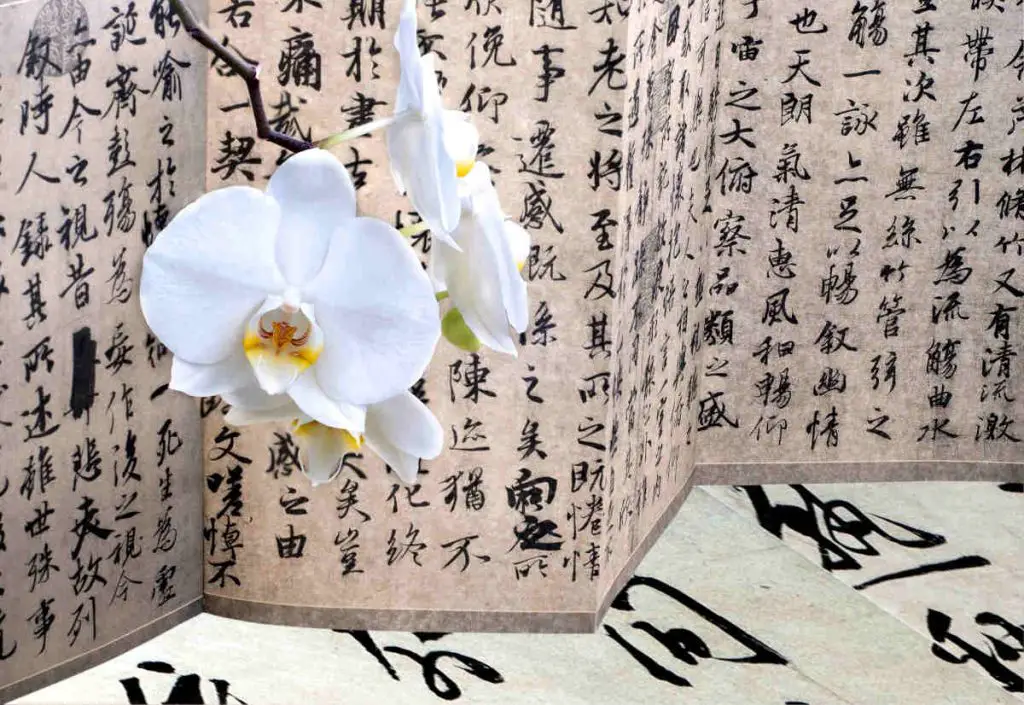 Antique chinese calligraphy copy text and white orchid