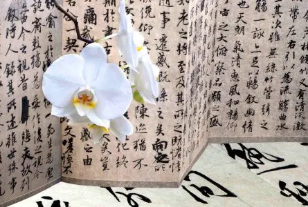 Chinese Language Mastery via Classic Literature - Tips and Tricks to Improve Your Skills