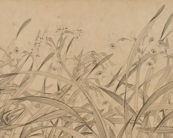 Orchids in Chinese art