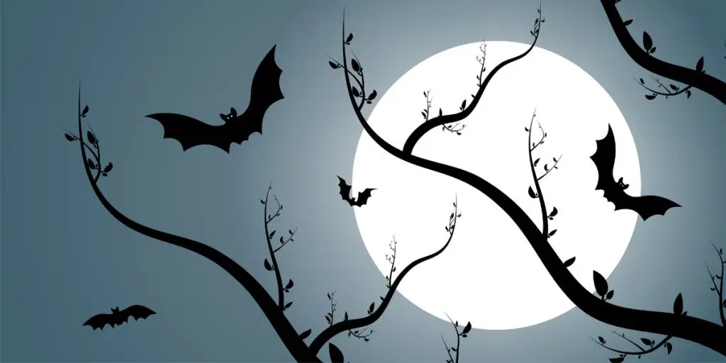 Bats as Symbol in Chinese Culture and Feng Shui