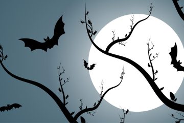 In Chinese culture, bats are thought to bring good luck and happiness, so they are often used as a symbol of luck in art and literature. This article will explore the symbolism of bats in Chinese culture and Feng Shui, as well as their history and several meanings.