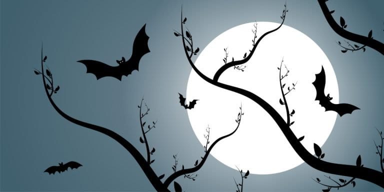 Bats as Symbol in Chinese Culture and Feng Shui
