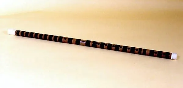 Dizi. Chinese Wind Instrument