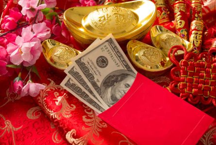 Feng Shui Wealth Corner: Your Personal Pathway to Financial Freedom