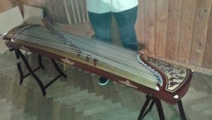 asian stringed instrument called a hunchback