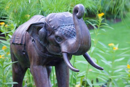 Using the Elephant Symbol in Feng Shui (Meaning, Applications, Where to Place It)