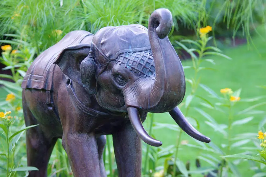 The Feng Shui Elephant.