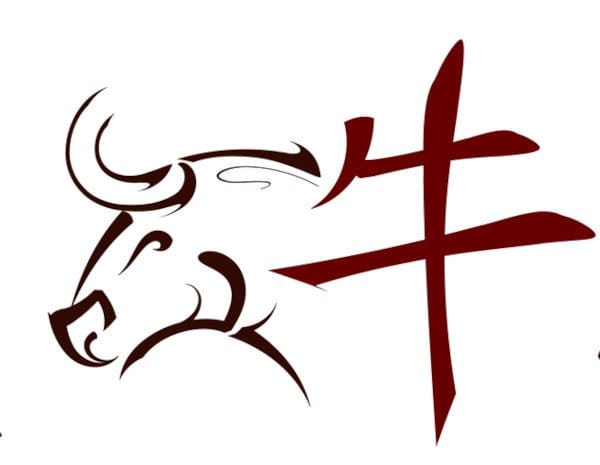 Feng Shui Tips for Each Chinese Zodiac Sign: OX