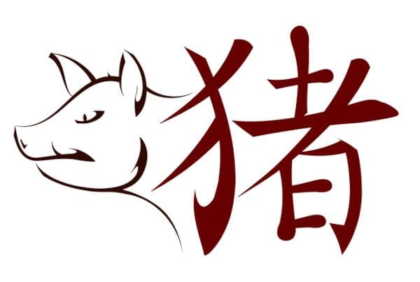 Feng Shui Tips for Each Chinese Zodiac Sign: PIG