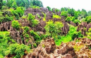 Top 5 Amazing Natural Places in China