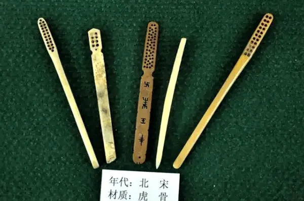 Song dynasty (960–1279) toothbrush handles made of tiger bone