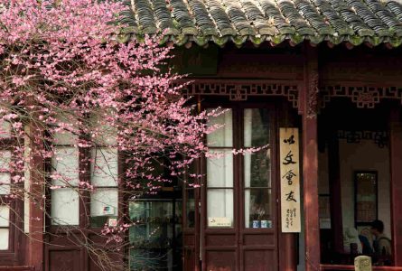 Spring Vacations in China: Best Places to Visit – Things to Do – Travel Tips
