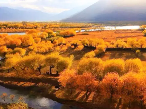 Tibet in autumn.