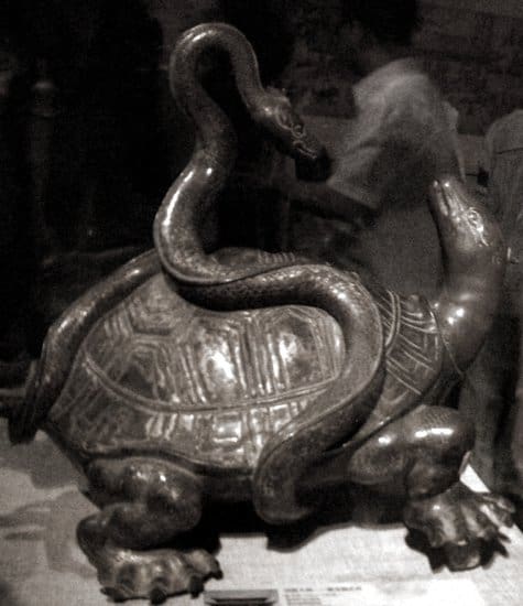 The Four Sacred Animals of Chinese Mythology - Black Turtle