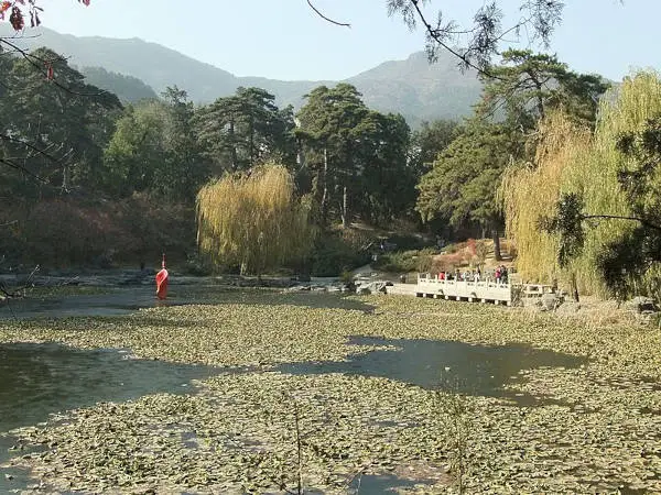 Xiangshan Jingcui_Lake