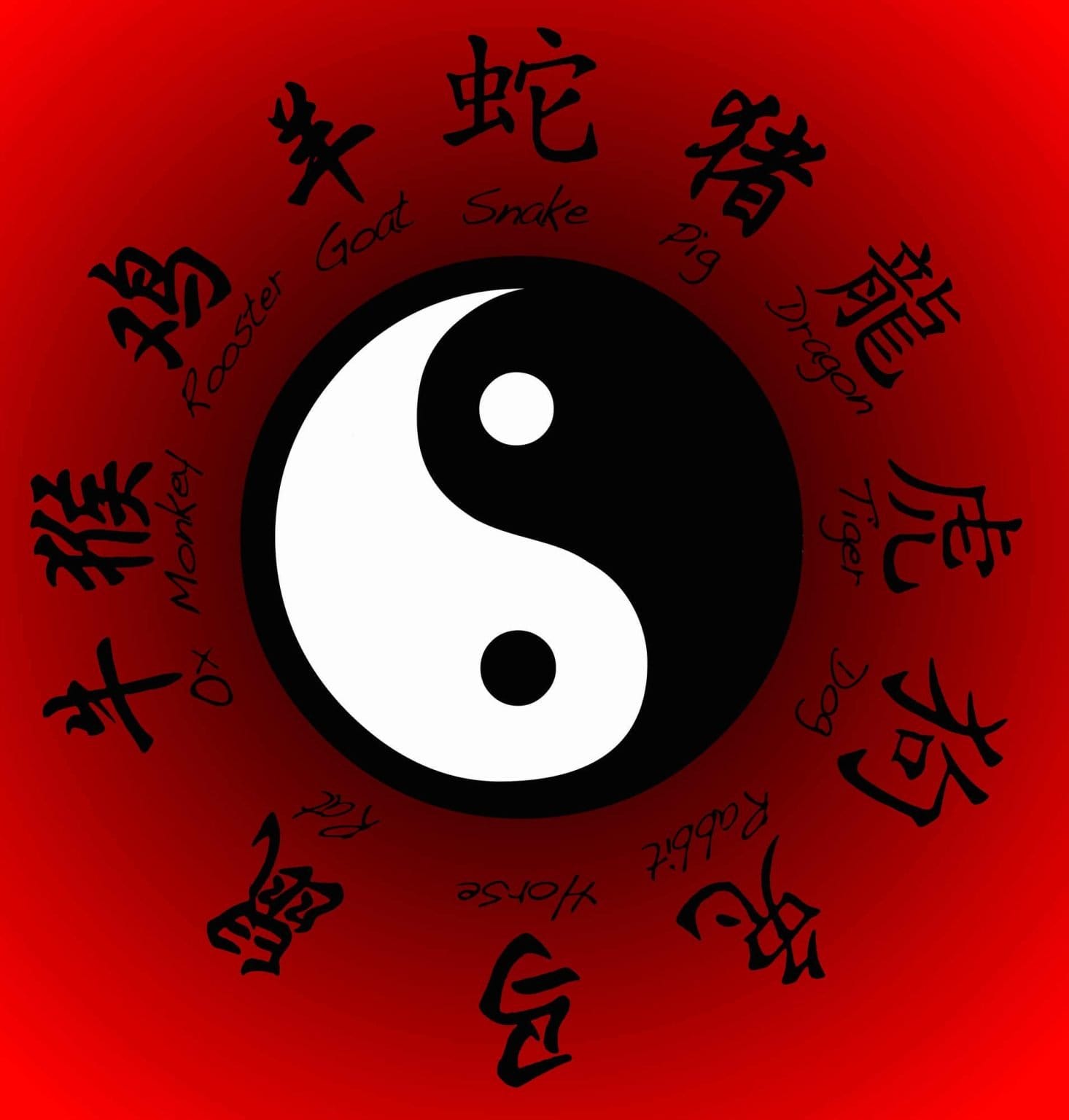 Find Your Chinese Zodiac Sign | China Market Advisor