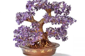 The Feng Shui amethyst crystal tree or amethyst gem tree is a popular charm/cure in traditional Feng Shui that can be used in a variety of applications from attracting wealth fortune to improving relationship harmony to attracting true love, among others.