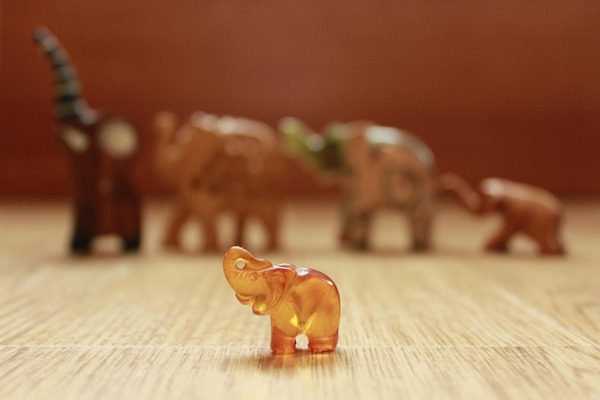 elephant