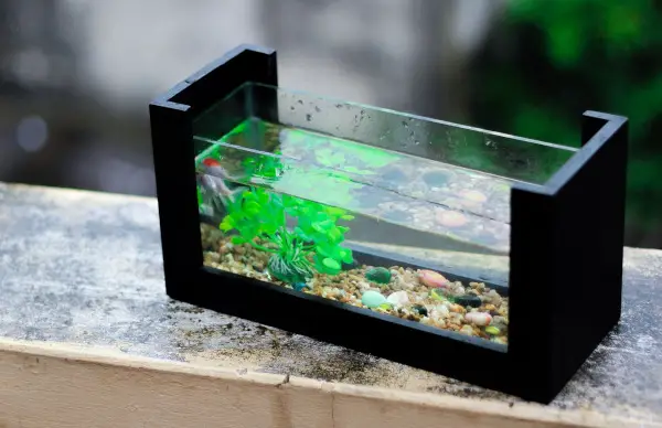 Aquarium in Feng Shui