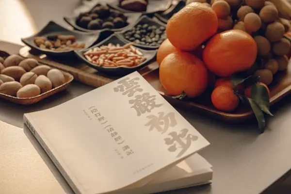 taoism -book