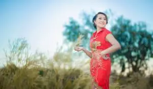 Chinese Qipao - Cheongsam