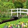 Imagine strolling through your garden on a winding path, each step inviting you deeper into a tranquil oasis. In Feng Shui, pathways are more than just functional; they represent the flow of energy throughout your garden. Let