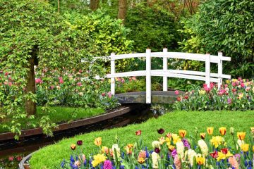 Imagine strolling through your garden on a winding path, each step inviting you deeper into a tranquil oasis. In Feng Shui, pathways are more than just functional; they represent the flow of energy throughout your garden. Let
