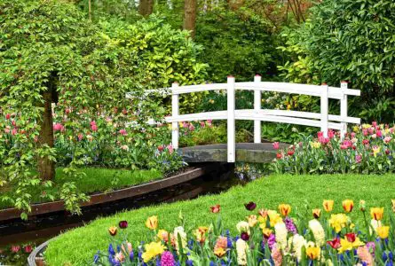 Feng Shui Your Garden: Design Your Dream Garden with Feng Shui Principles