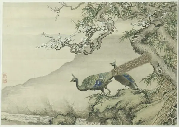 Peacock in Chinese Culture